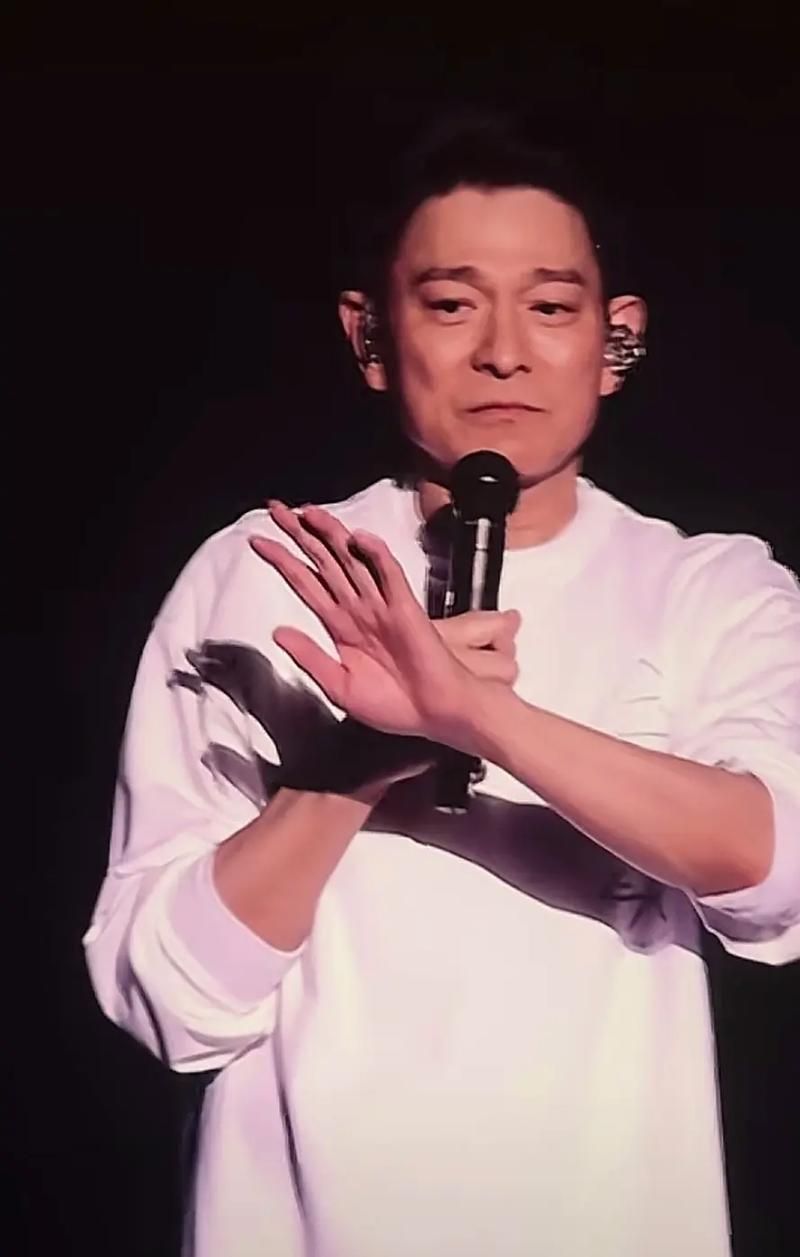 我的中国心刘德华经典现场版回顾