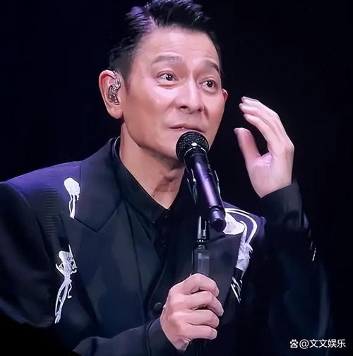 我的中国心刘德华经典现场版回顾