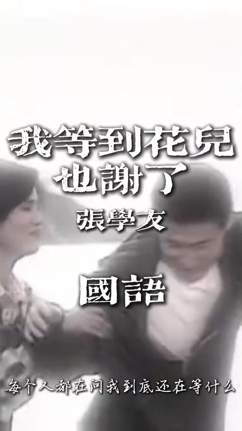 我等到花儿也谢了歌词张学友演唱版本赏析与歌词分享