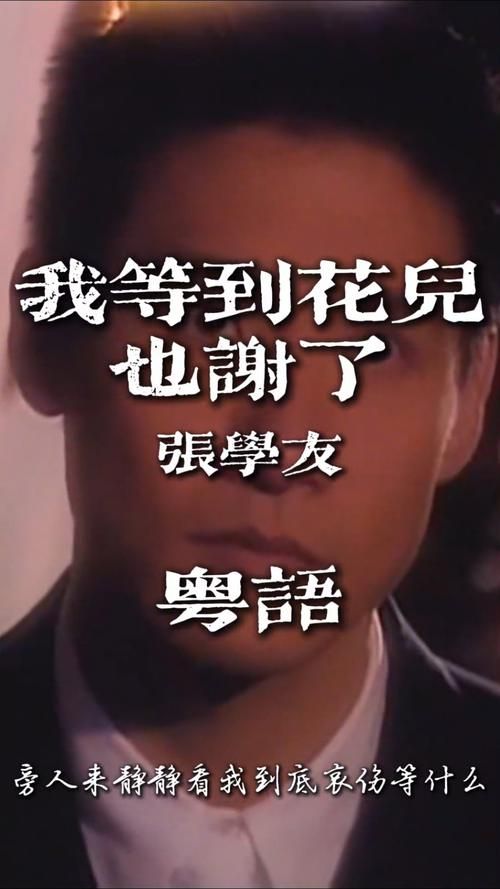 我等到花儿也谢了歌词张学友演唱版本赏析与歌词分享