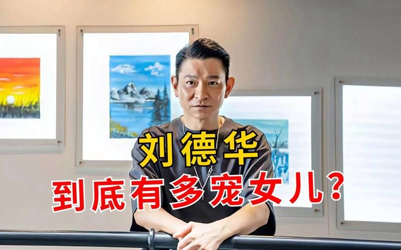 揭秘刘德华的私人飞机价格到底花了多少钱购买