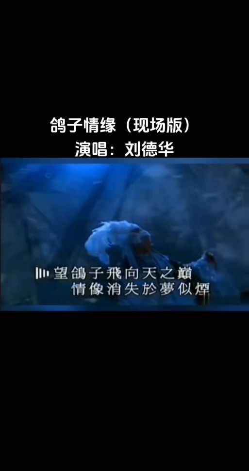 揭秘刘德华鸽子情缘：一首歌曲的传奇人生
