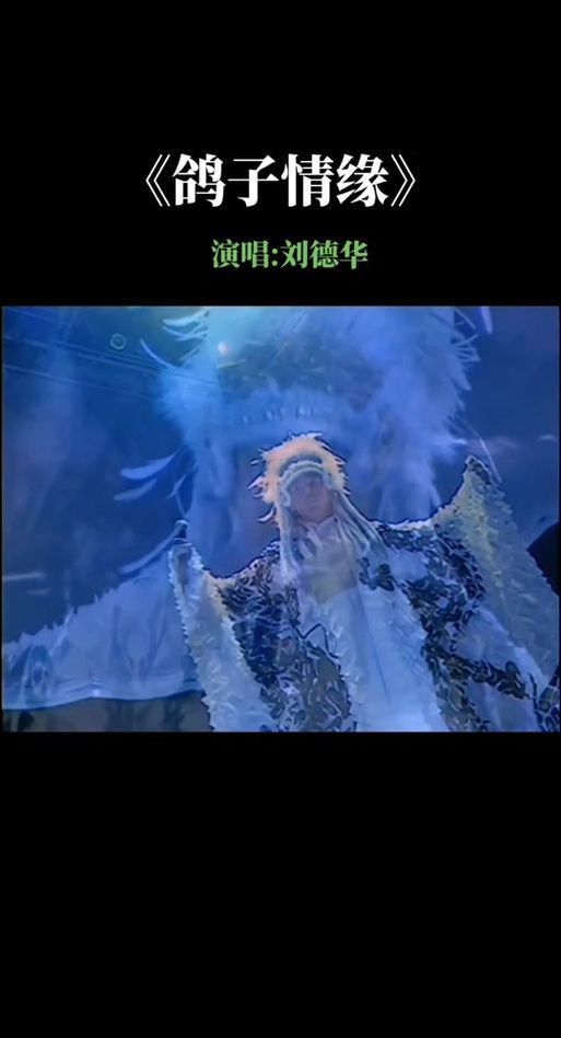 揭秘刘德华鸽子情缘：一首歌曲的传奇人生