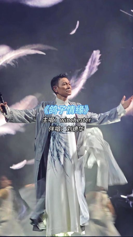 揭秘刘德华鸽子情缘：一首歌曲的传奇人生