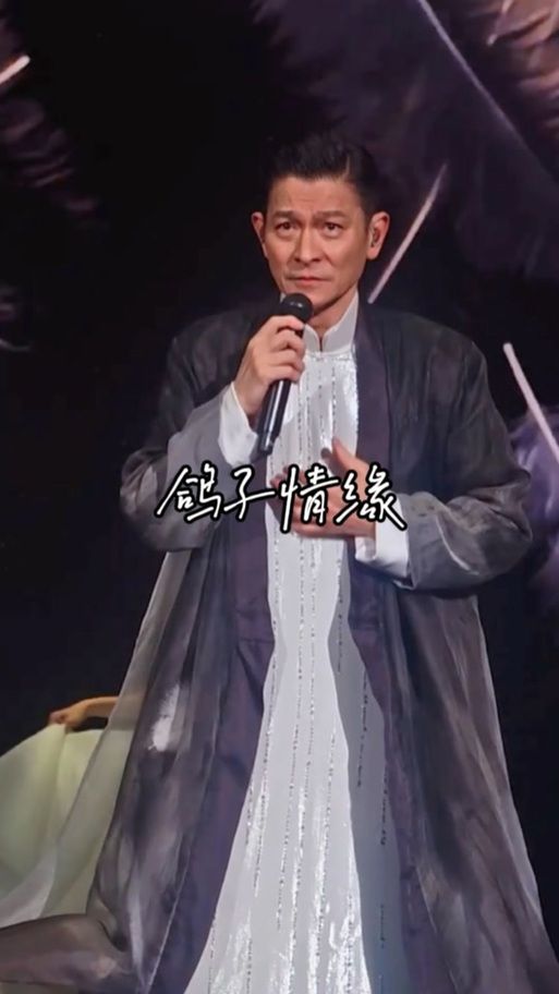 揭秘刘德华鸽子情缘：一首歌曲的传奇人生