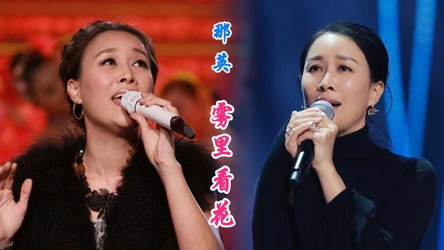 揭秘那英雾里看花背后故事 原来还有这些内幕