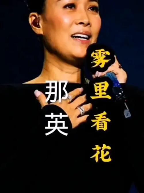 揭秘那英雾里看花背后故事 原来还有这些内幕