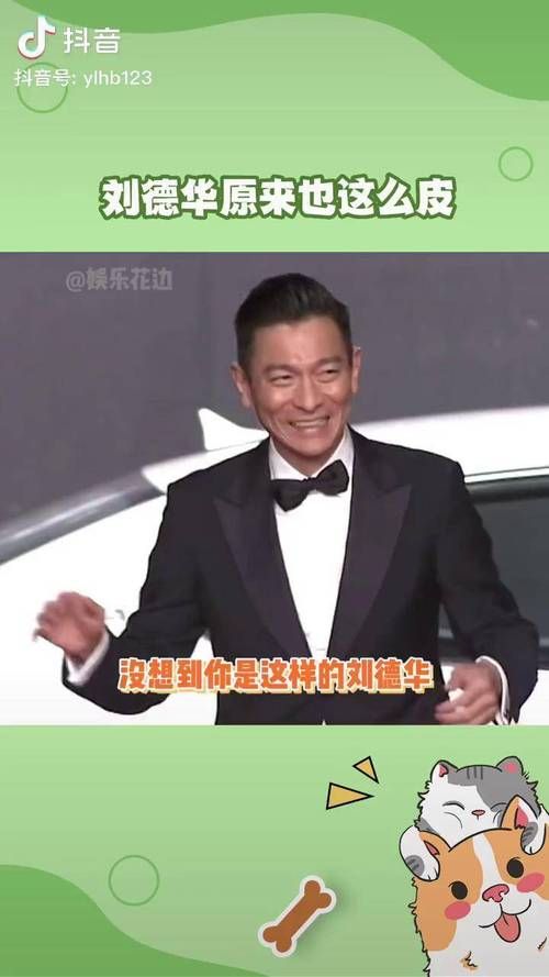 撒贝宁和刘德华：意外的相似点引爆笑！