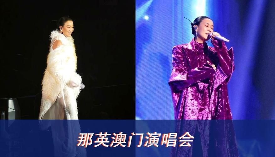 日那英演唱会现场视频曝光粉丝疯狂