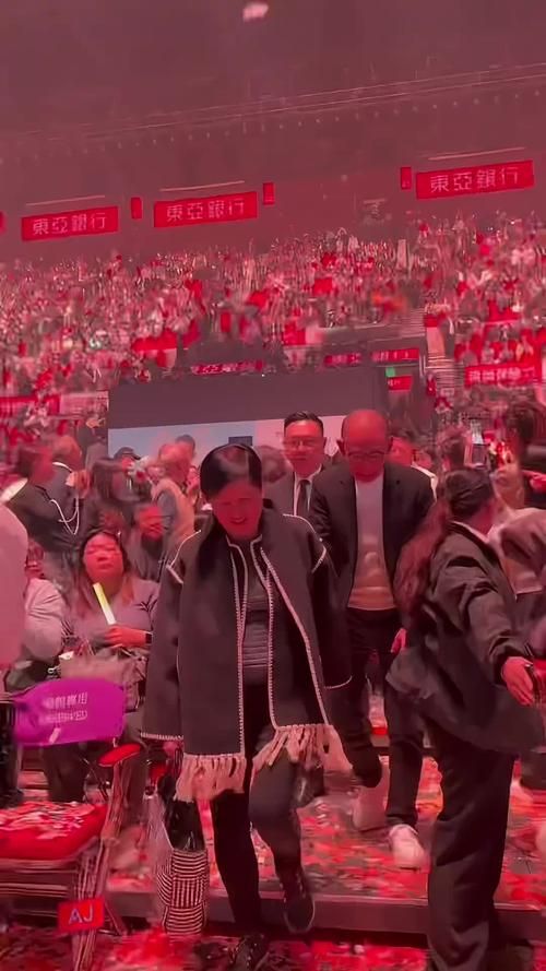 明星去看刘德华演唱会内场座位引发网友羡慕