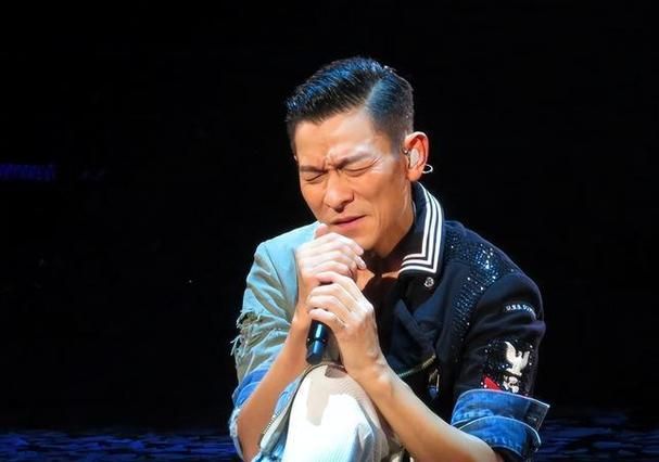 明星去看刘德华演唱会内场座位引发网友羡慕