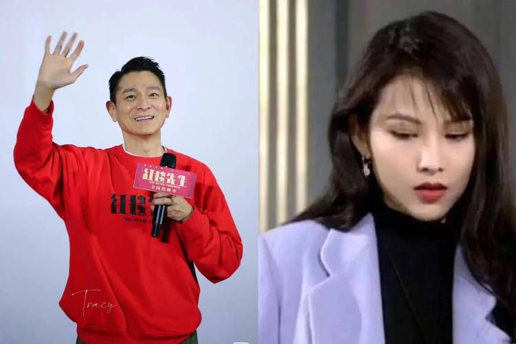 暗恋刘德华的女明星中谁最让他印象深刻