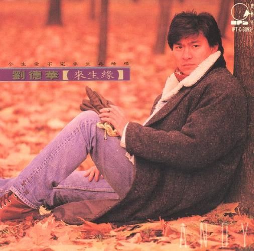 来生缘刘德华歌曲背后的感人故事分享