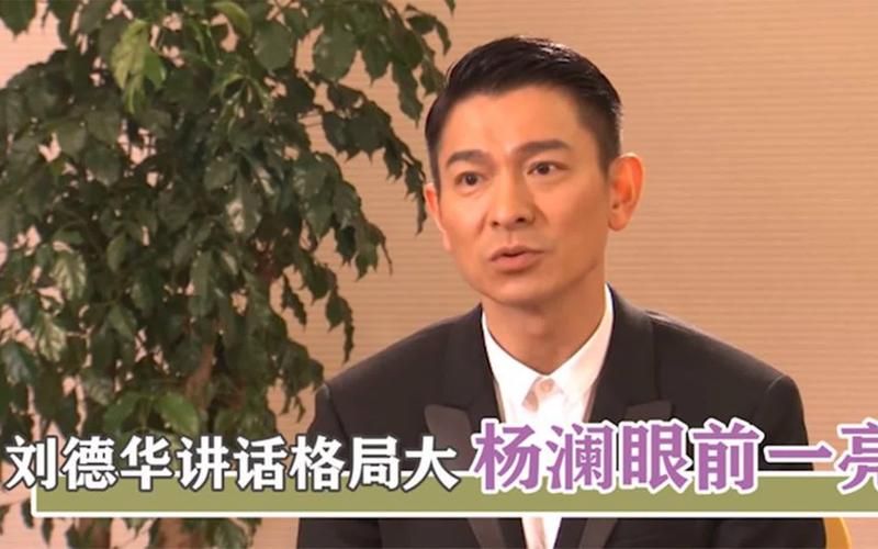 杨澜专访刘德华：天王的演艺生涯与人生感悟