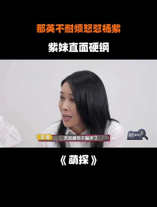 杨紫那英首次合作细节曝光幕后故事超有趣