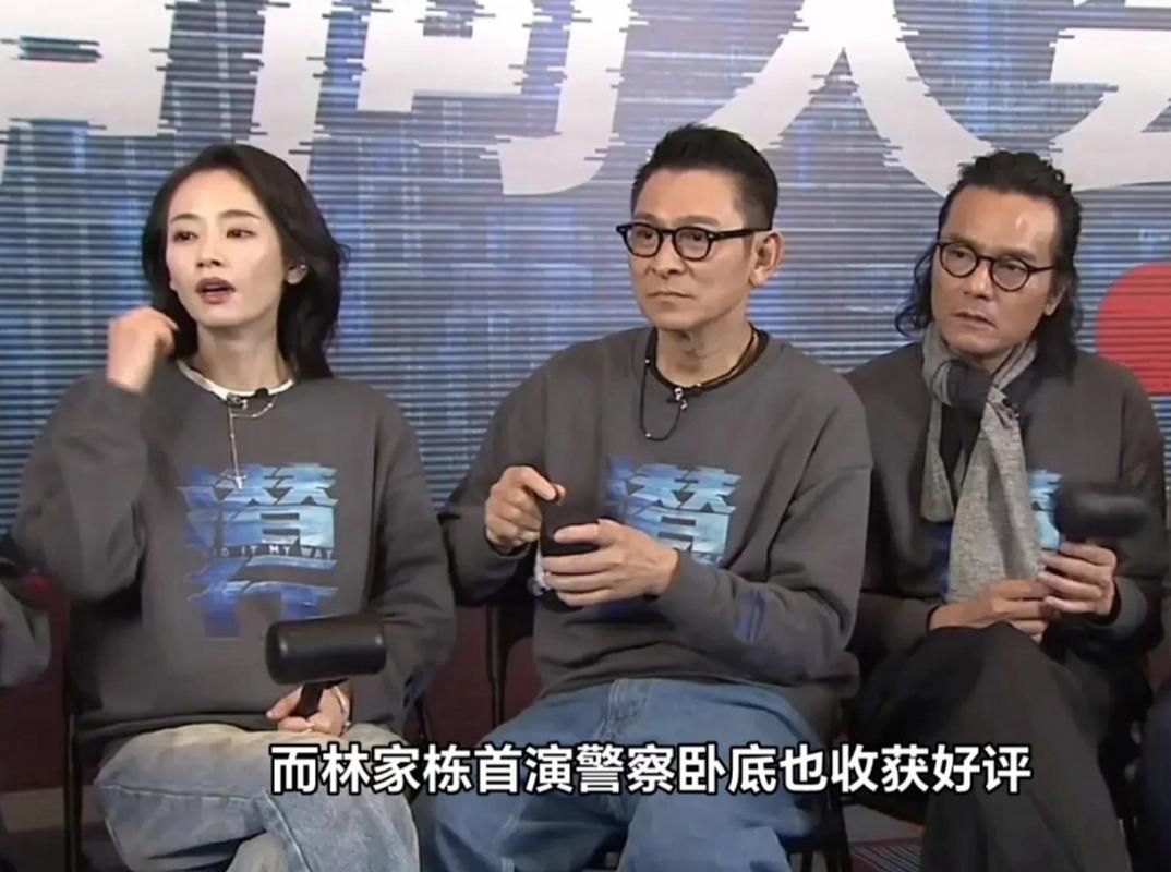 林家栋与刘德华：合作背后的故事与成功秘诀