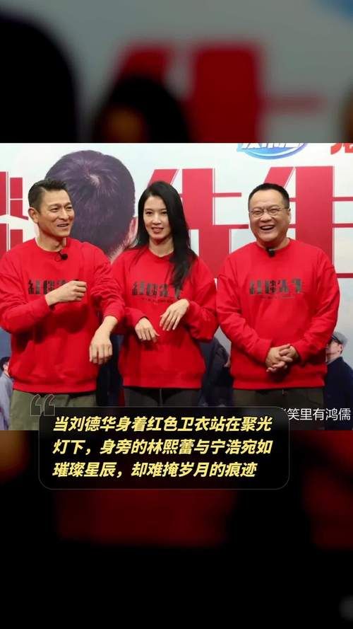 林熙蕾和刘德华演过哪些电影？揭秘两人合作的幕后故事