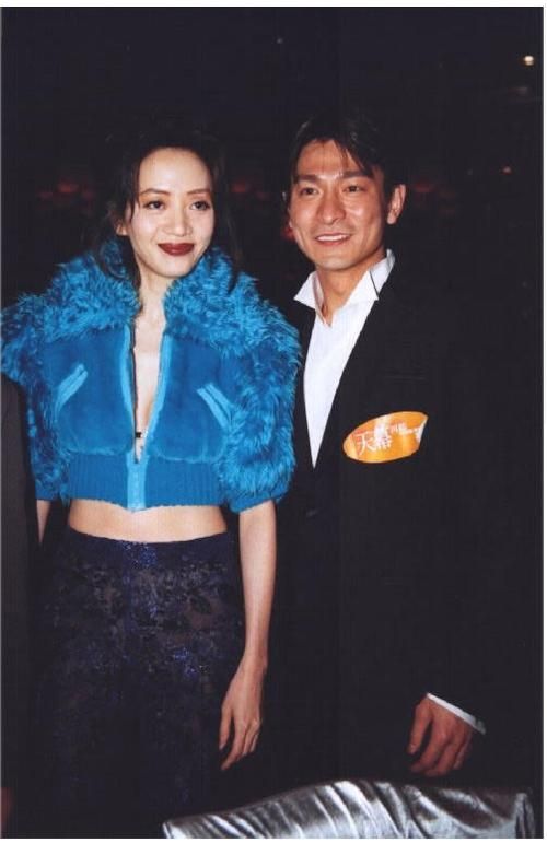 梅艳芳和刘德华关系如何从合作到深厚友谊