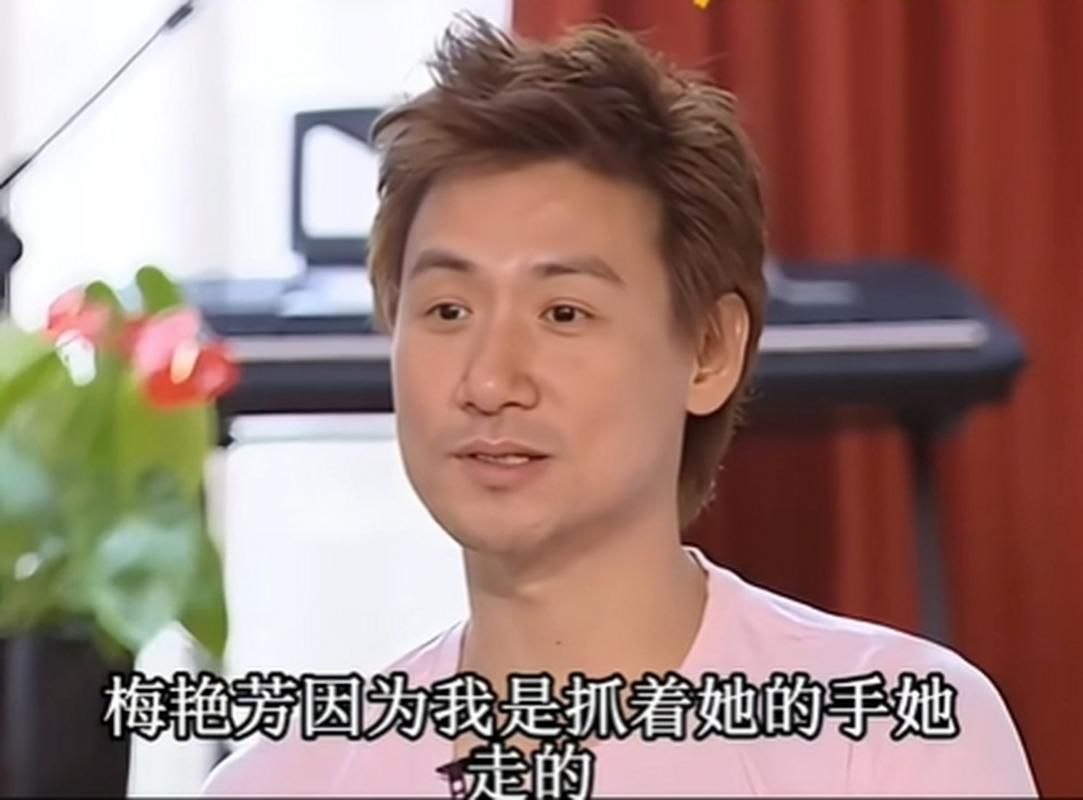 梅艳芳张学友心仍是冷歌词中的情感世界
