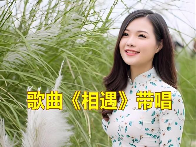 歌声里的相遇：细品刘德华经典歌曲相遇