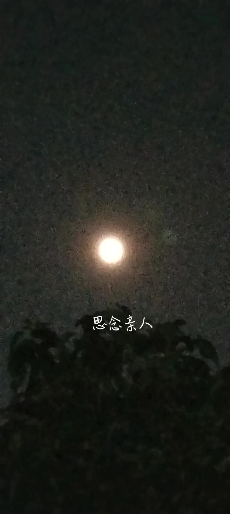 没有你的城市刘德华歌词中的孤独与思念
