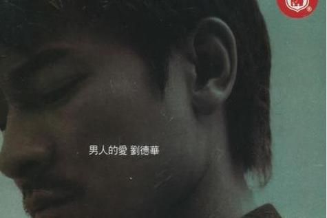 没有你的城市刘德华歌词中的孤独与思念