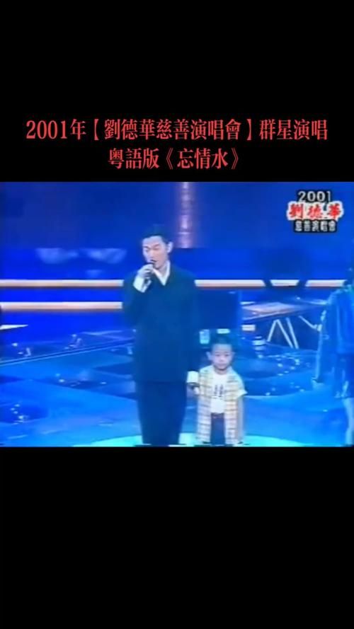 深度解析刘德华粤语歌曲魅力：歌声里的故事