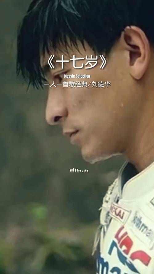 深度解读：刘德华歌曲十七岁歌词背后的故事