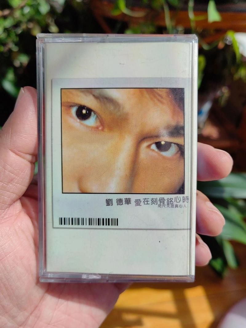深情演绎！刘德华歌曲缘尽背后的辛酸