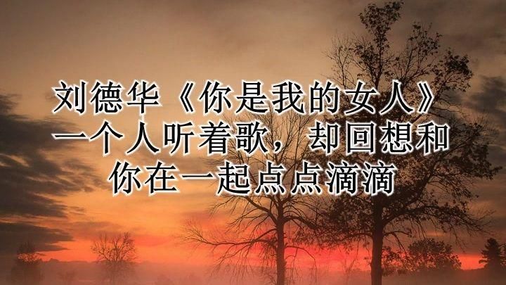 深情演绎：刘德华你是我的女人歌曲背后的情感