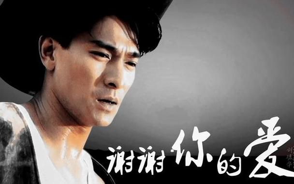 深情演绎：刘德华归宿背后的故事