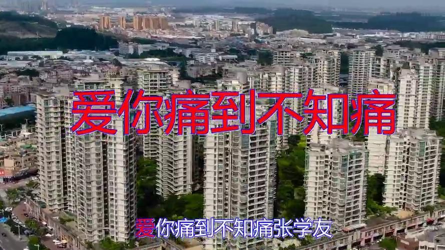 爱你痛到不知痛张学友 经典老歌背后的情感故事