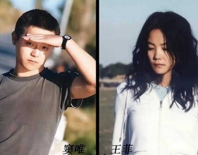 王菲那英关系深度解析两人音乐与友情的交织