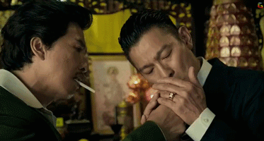 甄子丹刘德华追龙票房口碑双丰收原因分析
