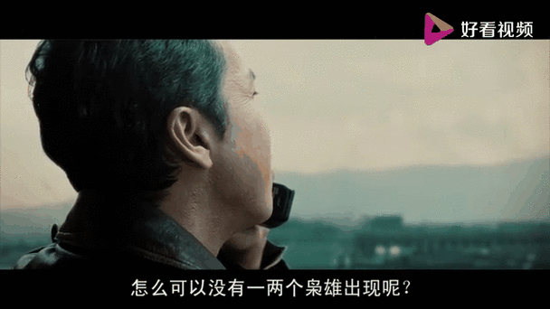 甄子丹刘德华追龙票房口碑双丰收原因分析