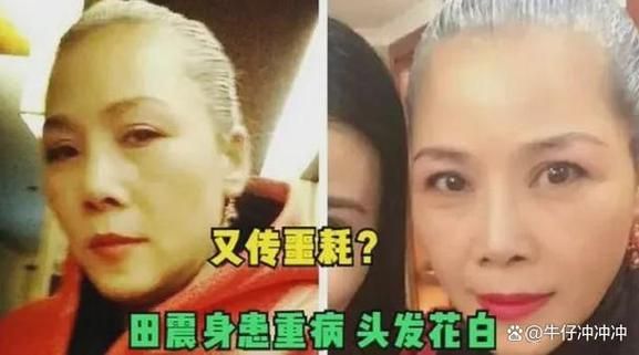 田震和那英恩怨再起 细数两人多年来的矛盾