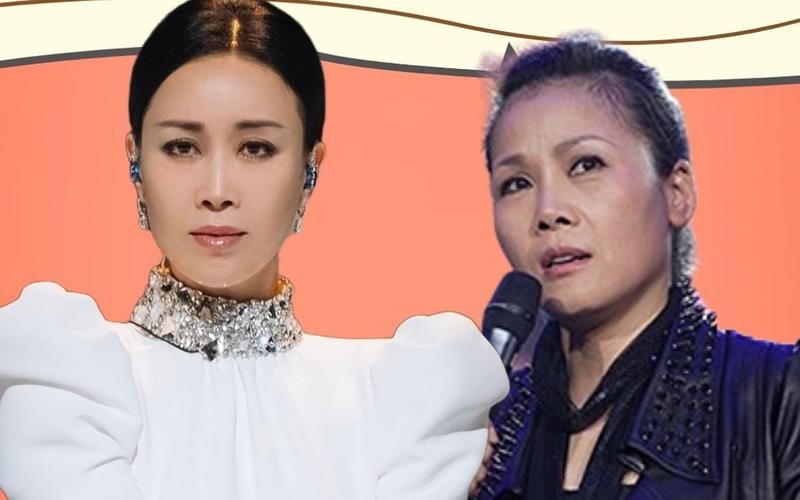 田震那英怎么回事两人之间到底发生了什么故事