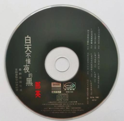白天不懂夜的黑那英这首歌为何如此打动人心