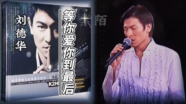 等你爱你到最后刘德华演唱会的感人瞬间回顾