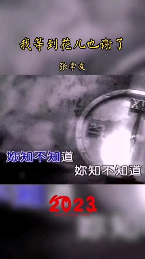等到花儿也谢了张学友这首歌为何这么火