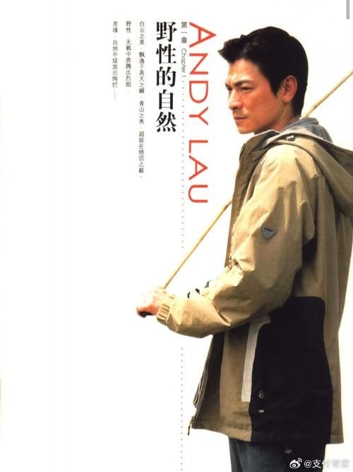 细数刘德华经典电影海报：从青涩到成熟的演艺之路