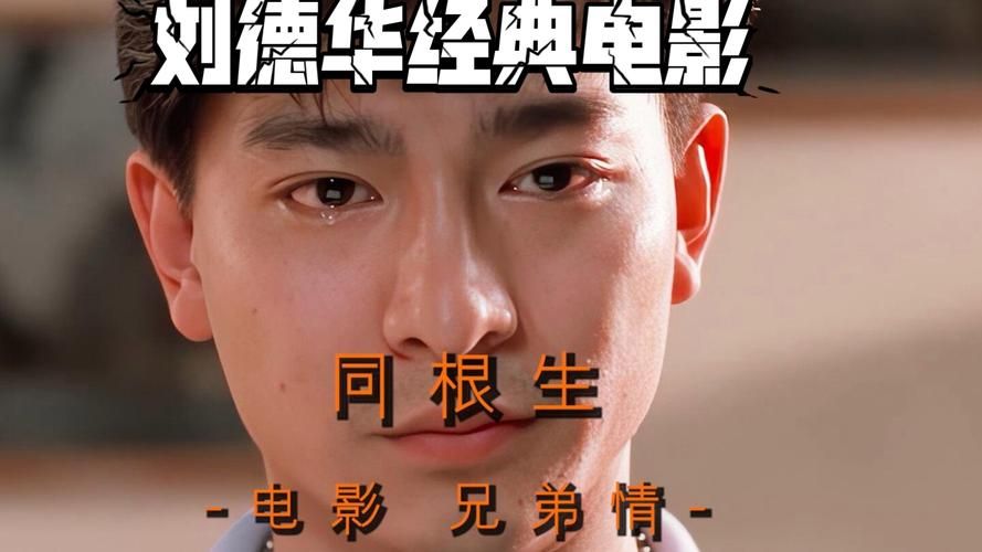 经典刘德华电影推荐：那些年我们一起追过的华仔电影