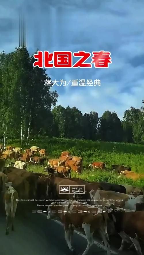 经典歌曲北国之春：刘德华现场版震撼来袭