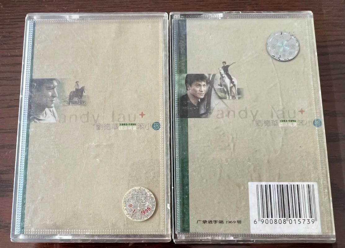 经典歌曲笨小孩：刘德华演唱的励志歌曲解读
