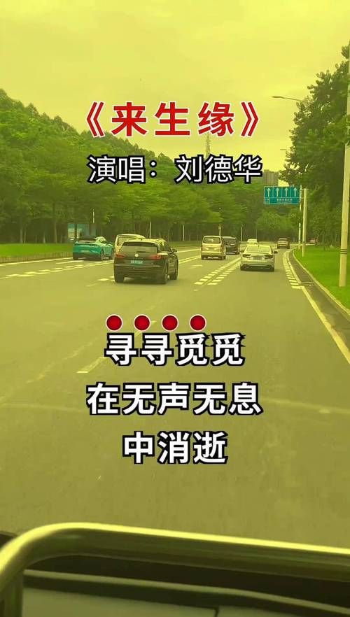 经典歌曲：刘德华寻寻觅觅表达了什么情感？