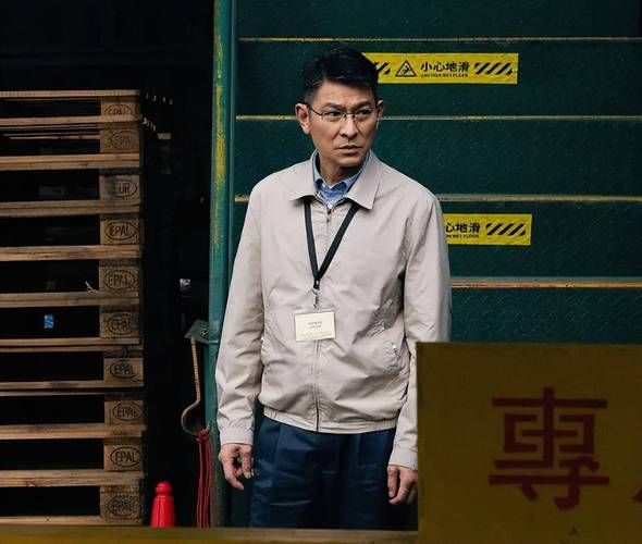 绑架刘德华电影叫什么名字这部片子很火