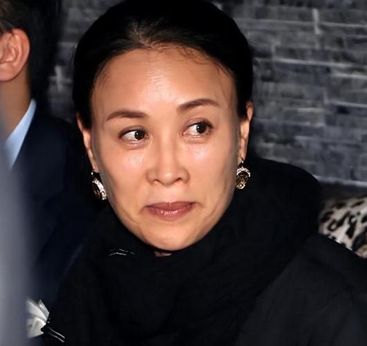 老梁说那英在乐坛地位为何争议不断