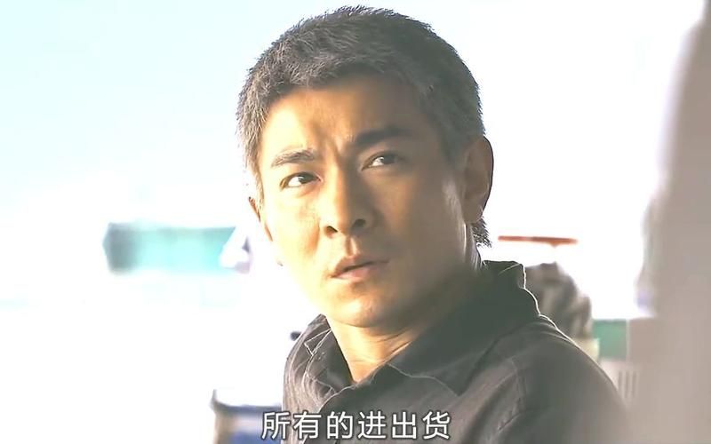 职业杀手电影刘德华合集 动作迷必看佳作