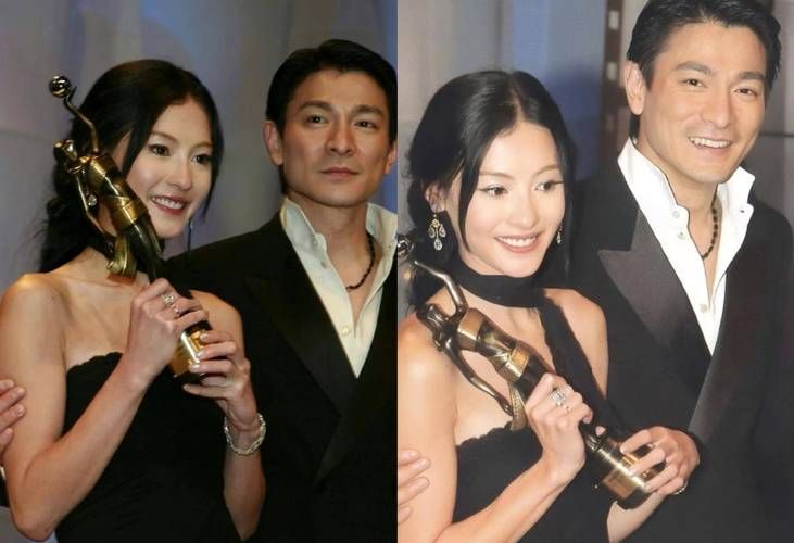 舒淇、蔡依林等明星如何评价刘德华？