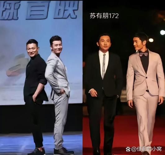 苏有朋和刘德华事件真相揭秘两人到底发生了什么